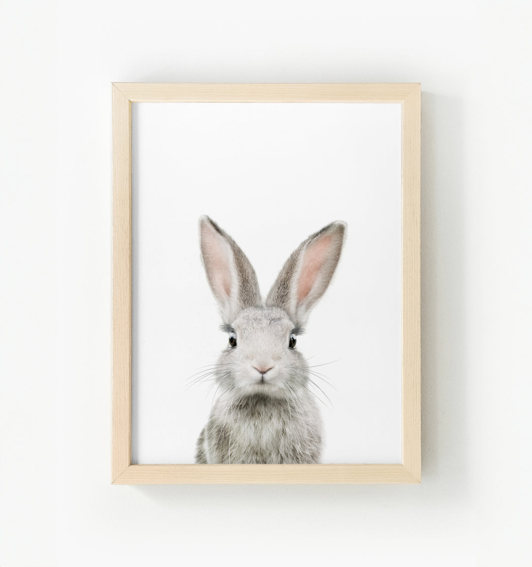 Baby Rabbit No. 3 Framed Canvas