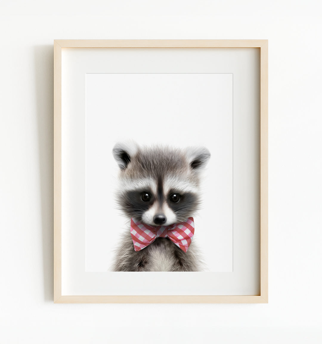 Baby Raccoon