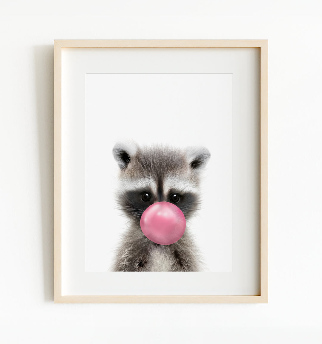 Baby Raccoon