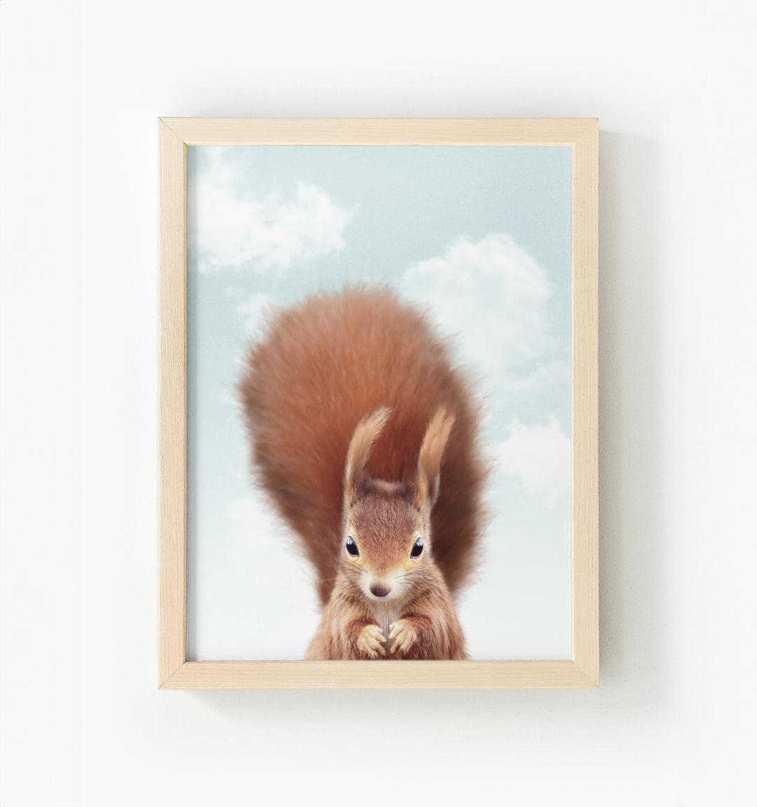 Baby Red Squirrel Framed Canvas