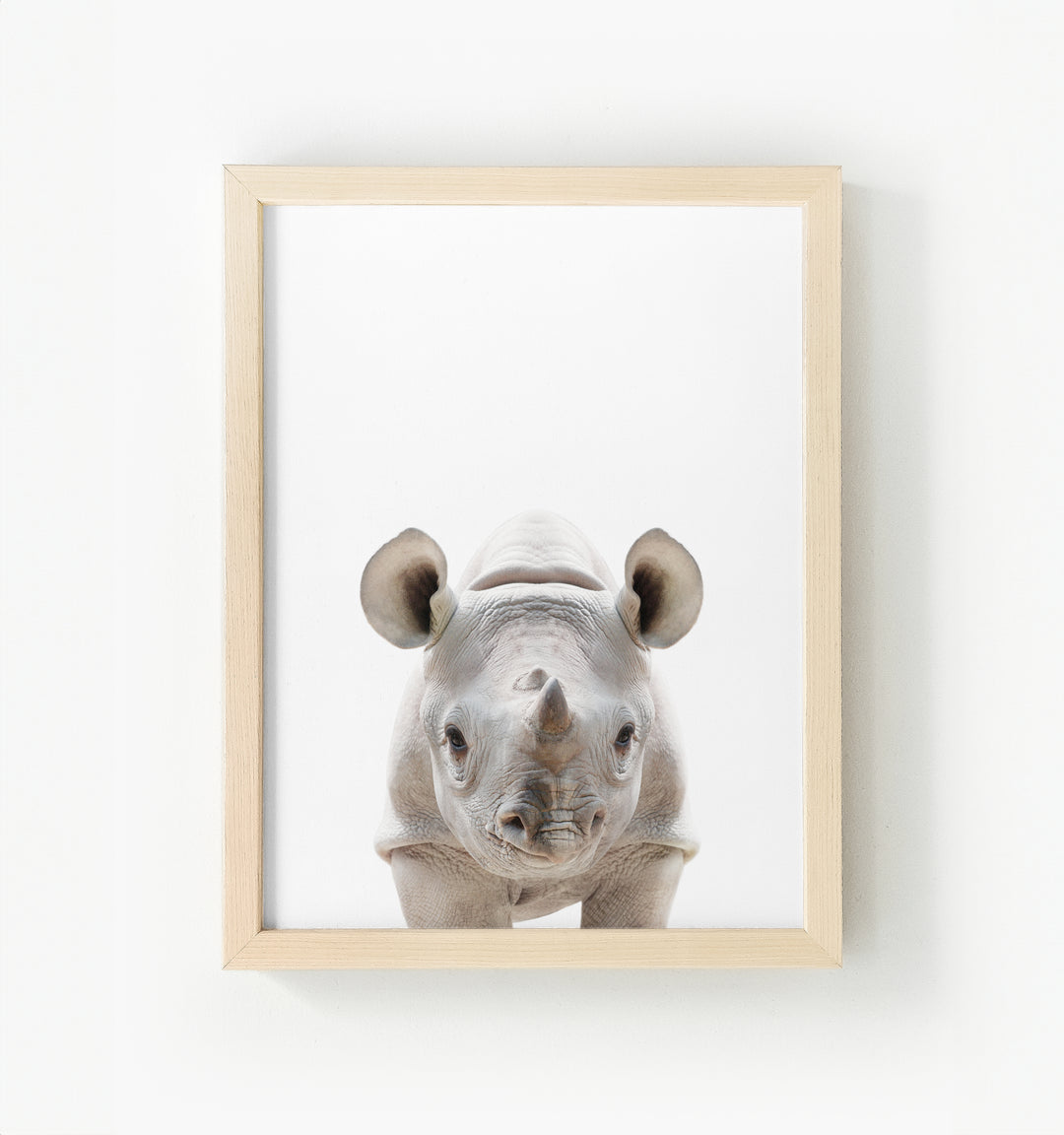 Baby Rhino Framed Canvas