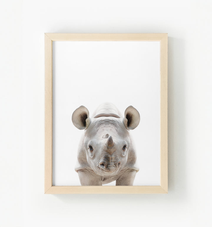 Baby Rhino Framed Canvas