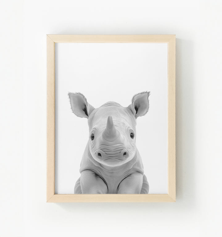 Baby Rhino Framed Canvas