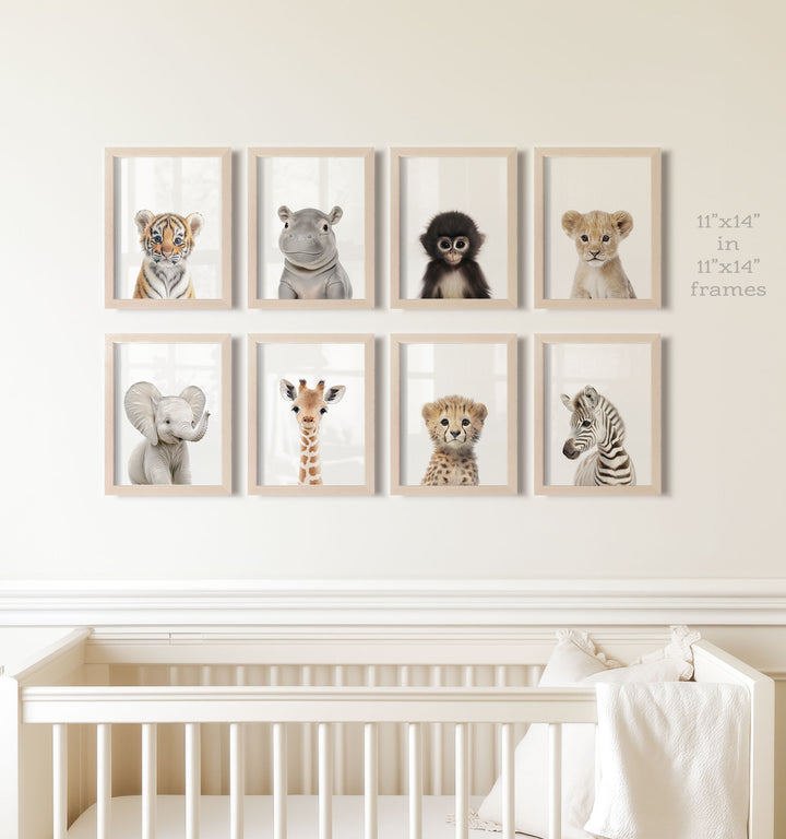 Safari Animals - Set of 8 baby animals - Africa & Asia - Nursery Art Prints