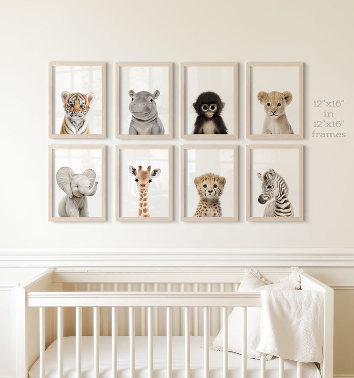 Safari Animals - Set of 8 baby animals - Africa & Asia - Nursery Art Prints