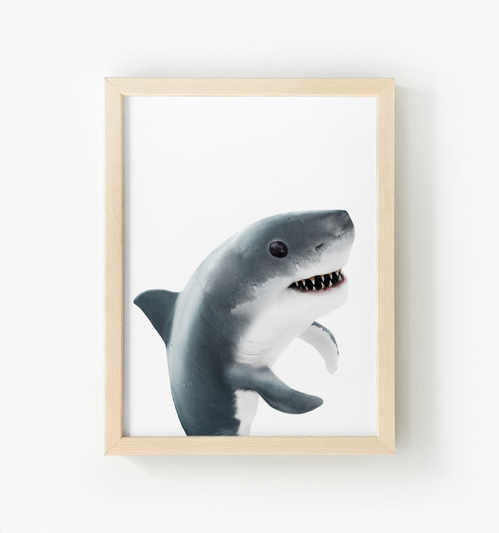 Baby Shark Framed Canvas