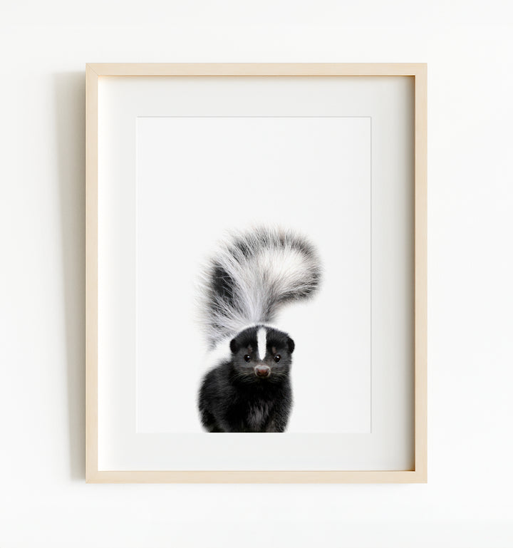 Baby Skunk