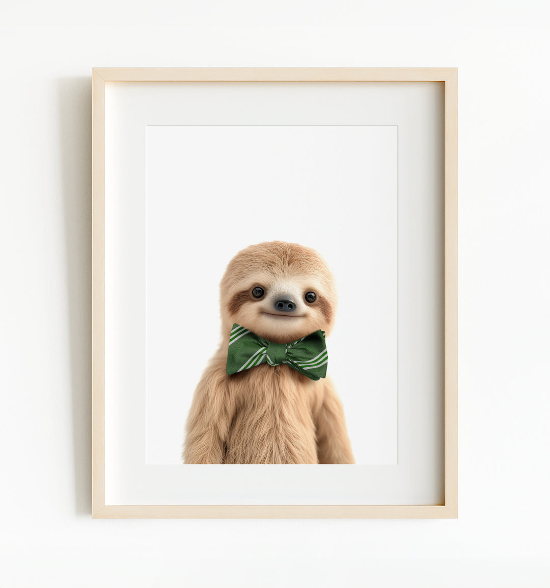 Baby Sloth