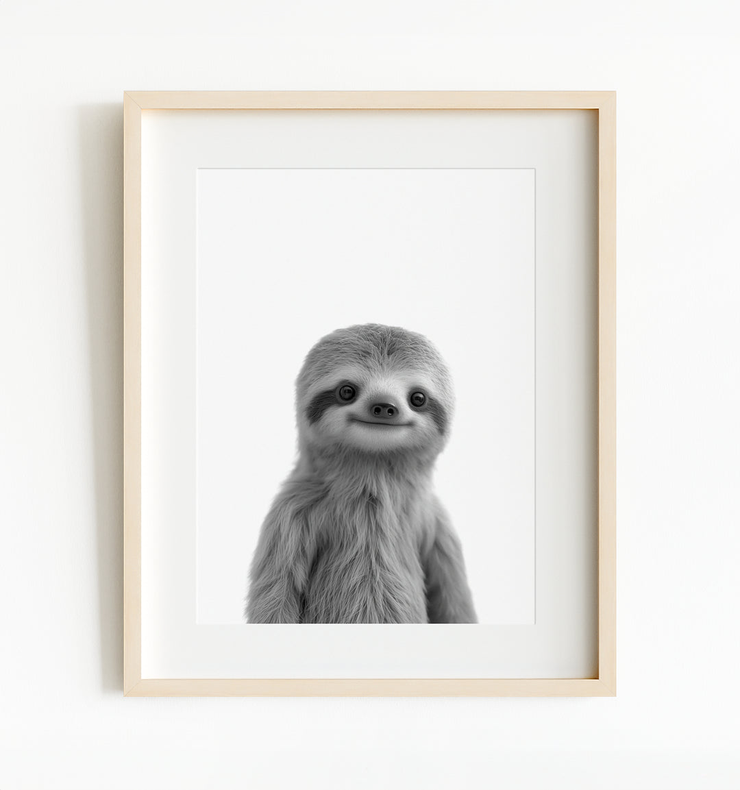 Baby Sloth