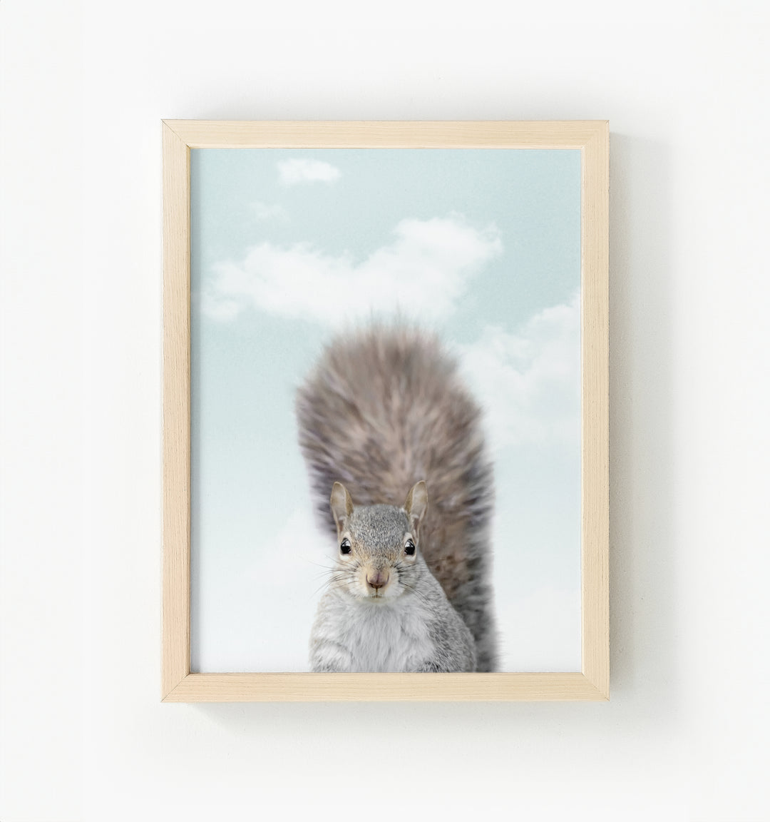 Baby Squirrel Framed Canvas