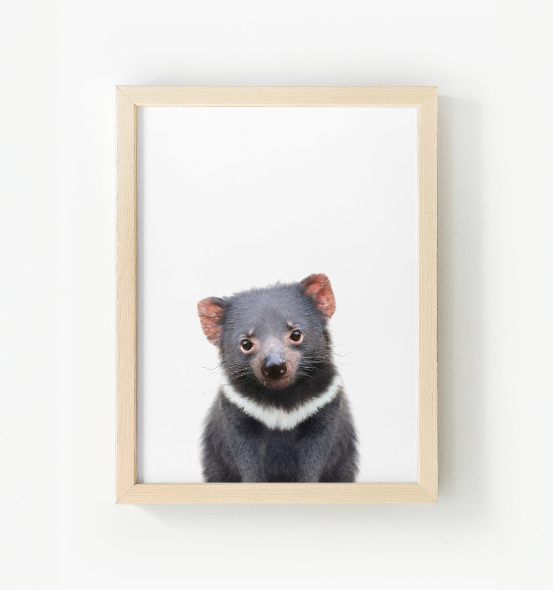 Baby Tasmanian Devil Framed Canvas
