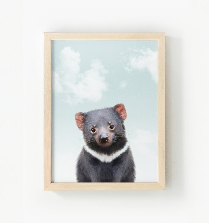 Baby Tasmanian Devil Framed Canvas