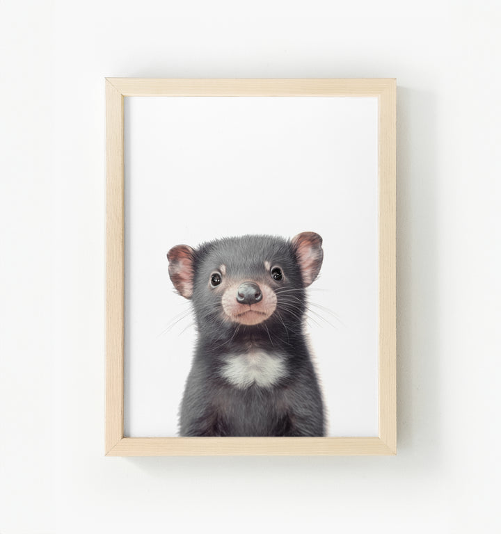 Baby Tasmanian Devil Framed Canvas