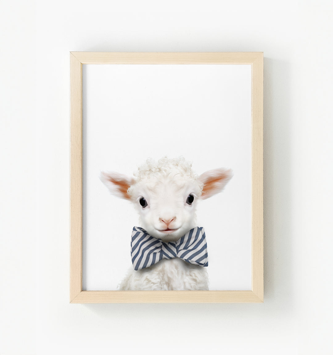 Baby Lamb Framed Canvas