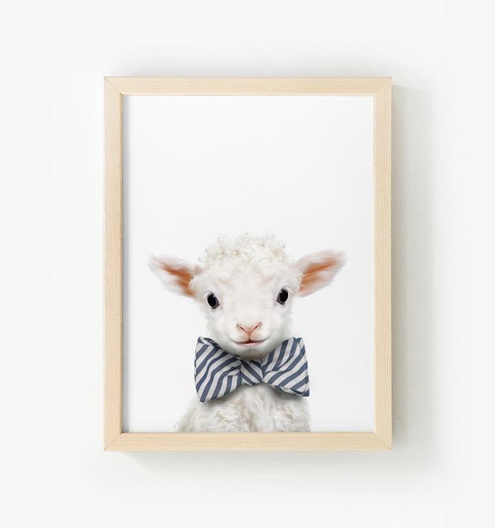 Baby Lamb Framed Canvas