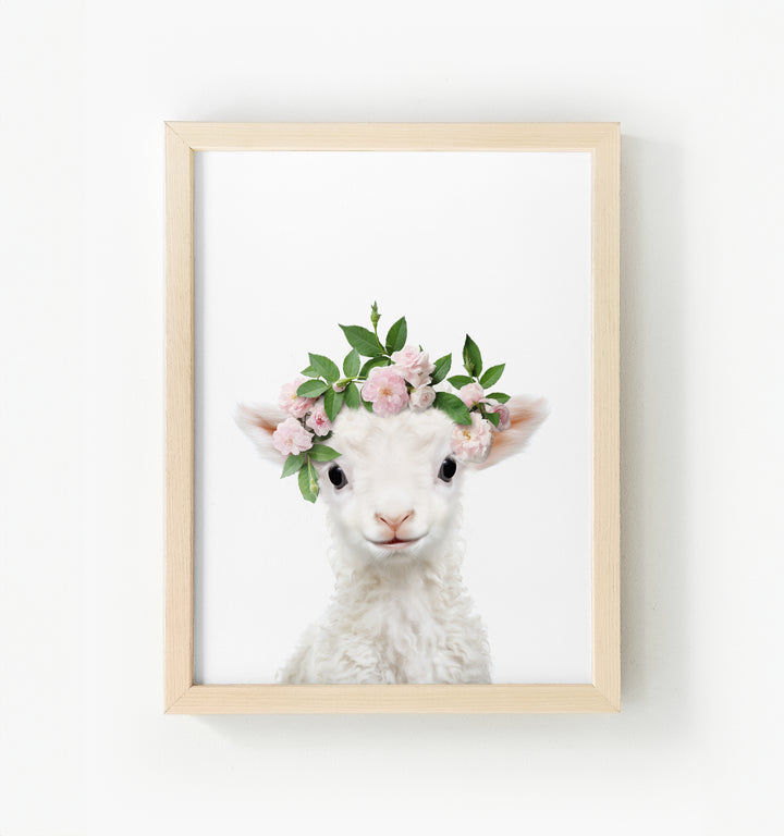 Baby Lamb Framed Canvas