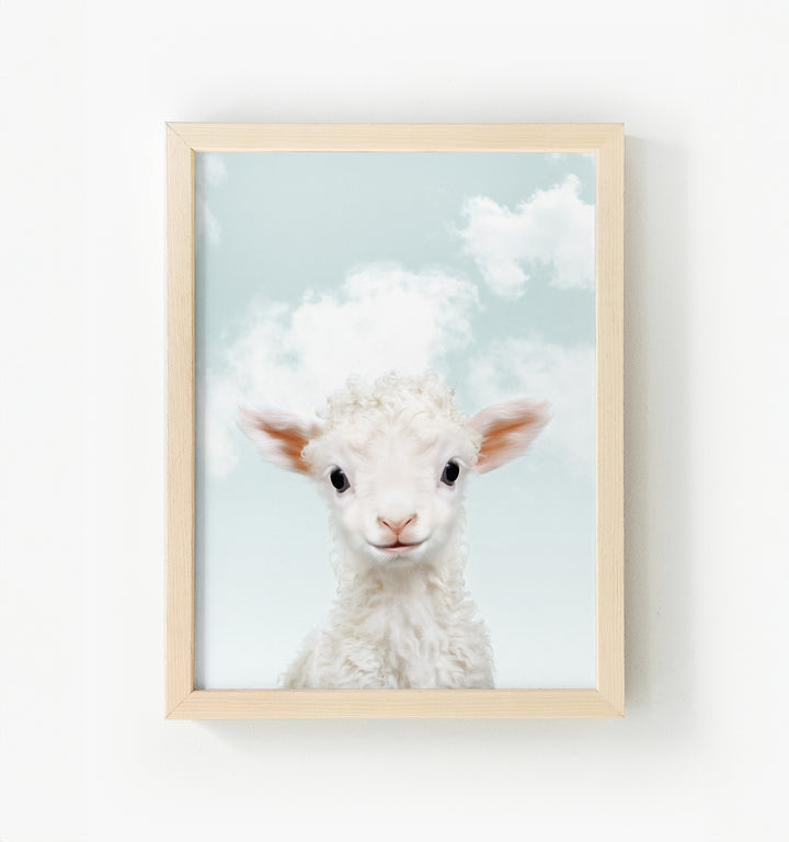 Baby Lamb Framed Canvas