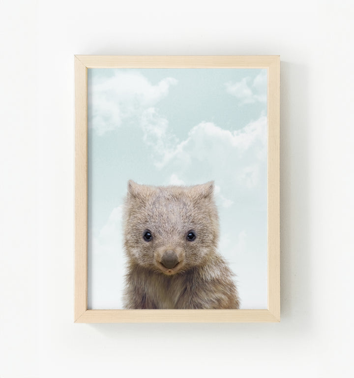 Baby Wombat Framed Canvas