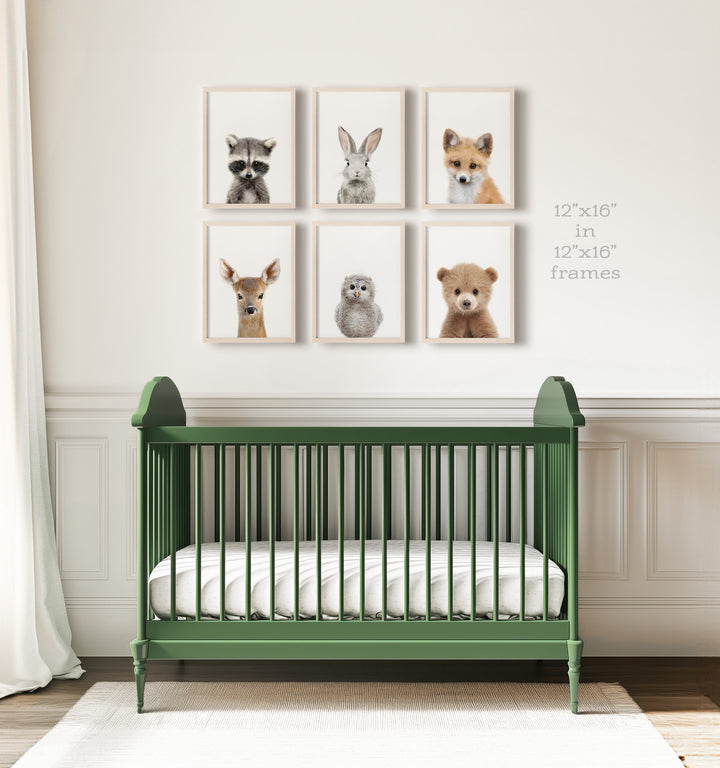 Woodland Animals Set of 6 Nursery Art Prints