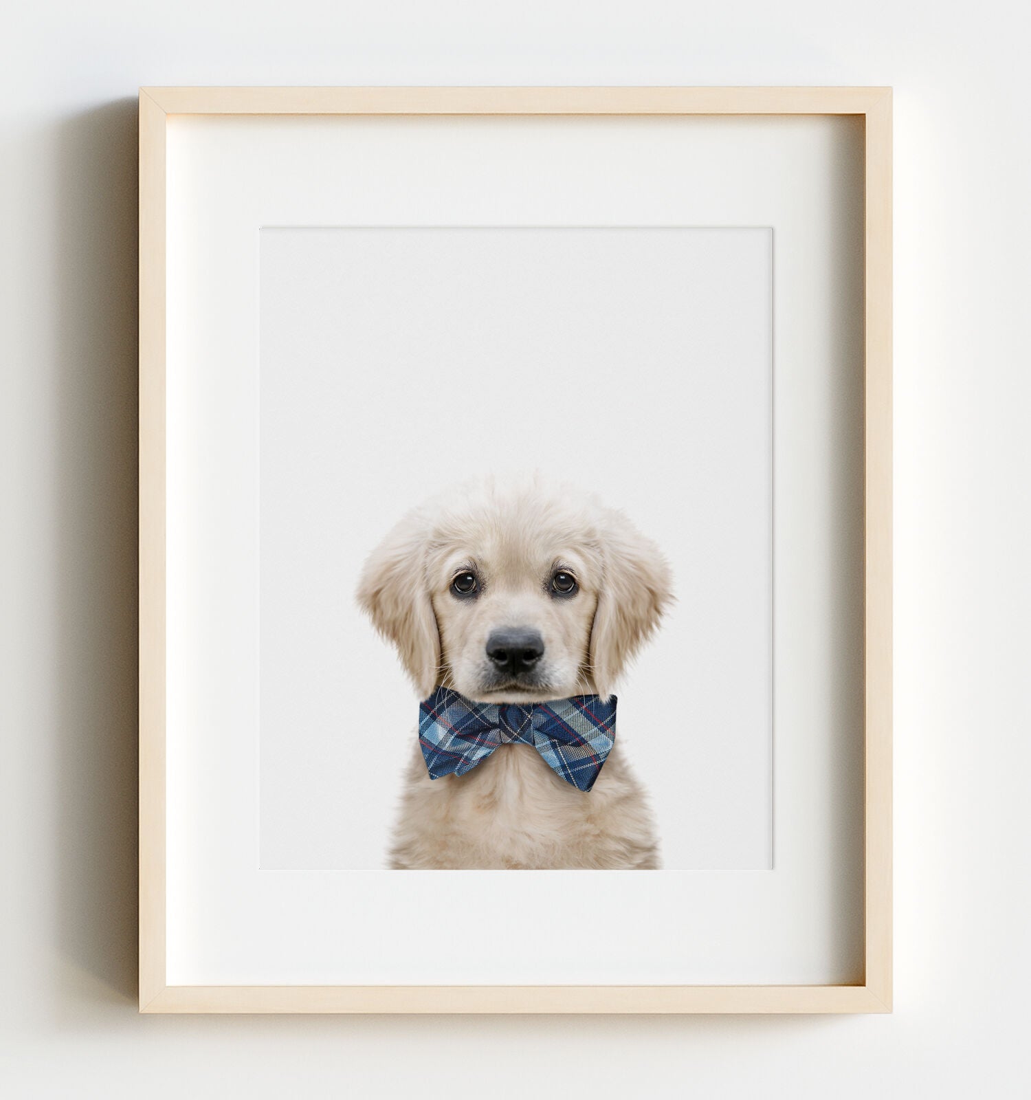 Golden retriever puppy bow tie best sale