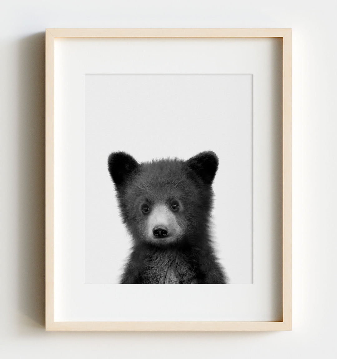 Baby Black Bear - The Crown Prints