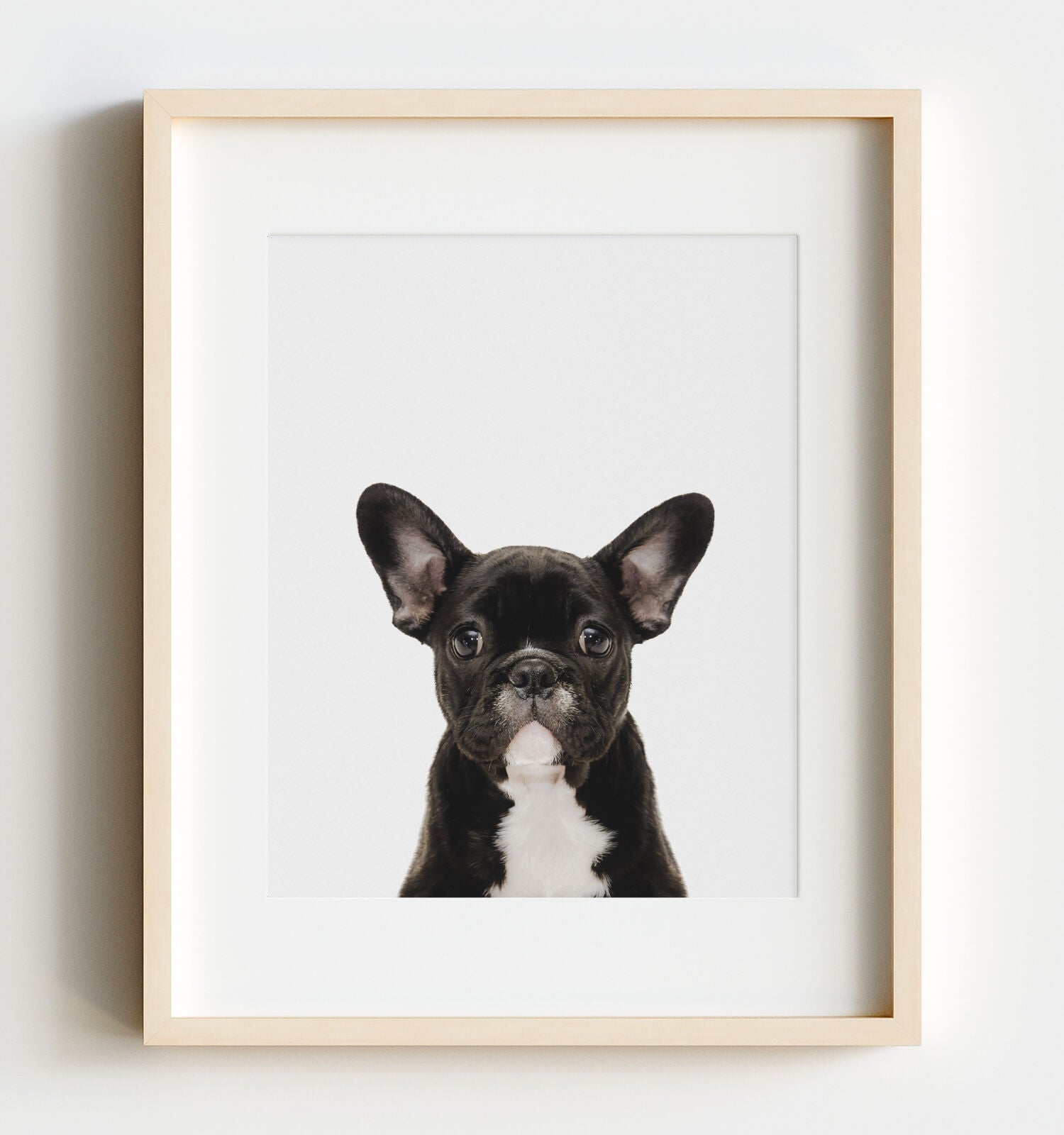 https://www.thecrownprints.com/cdn/shop/products/dog-french-bulldog__FRAME-Ikea-Hovsta-Birch-Effect.jpg?v=1666994087