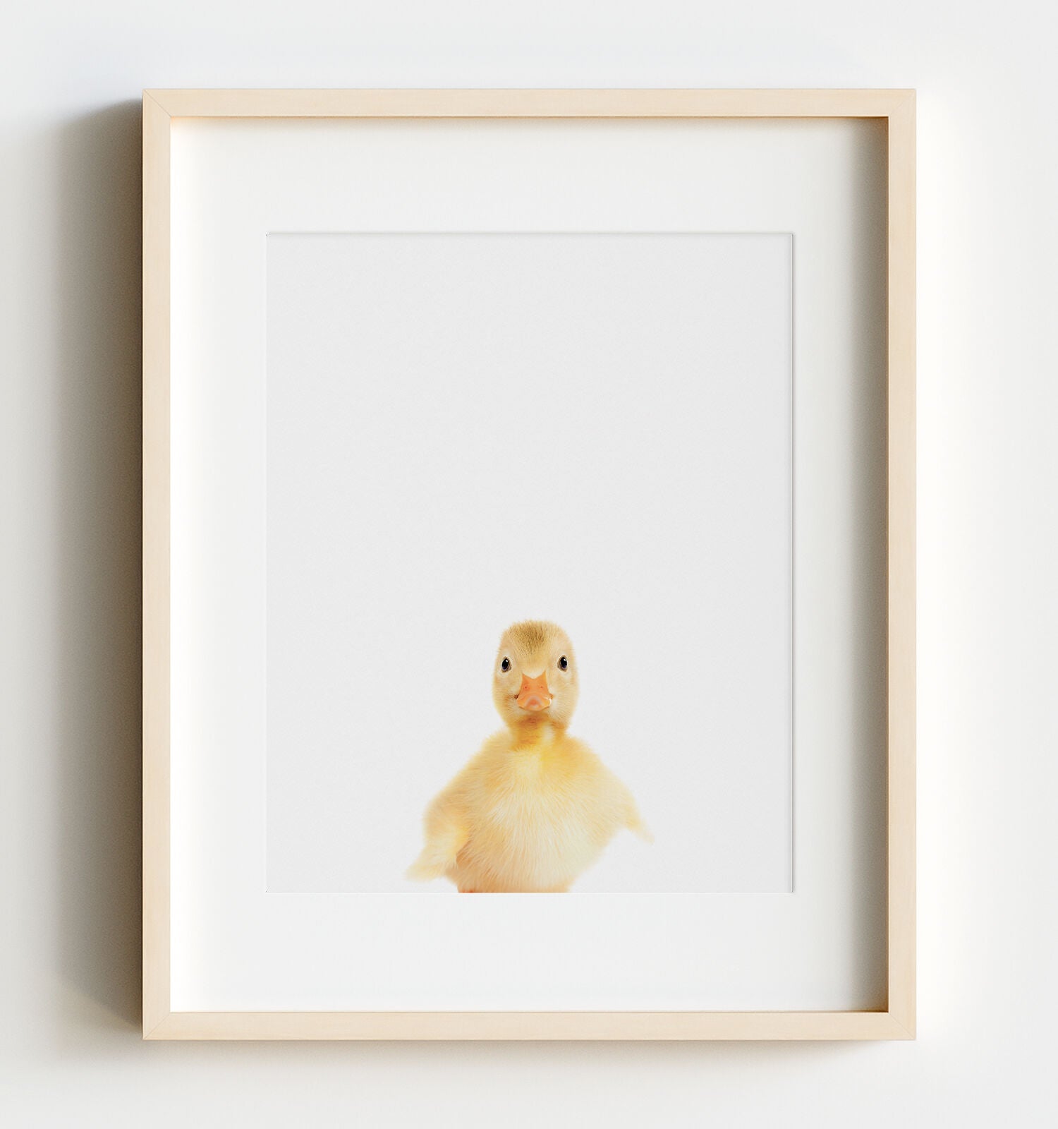 Baby Duckling - The Crown Prints